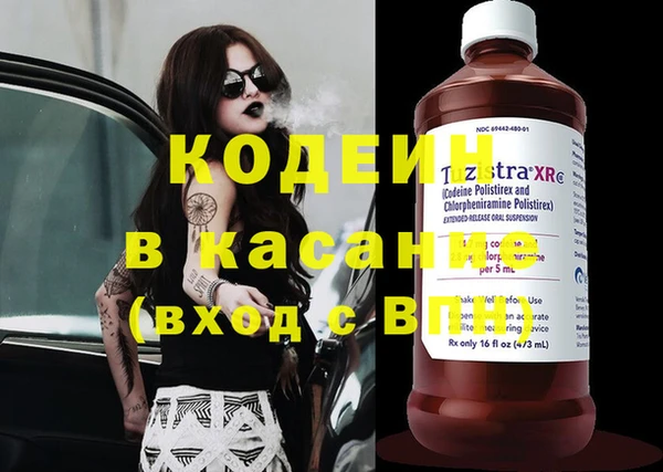 гашик Балахна