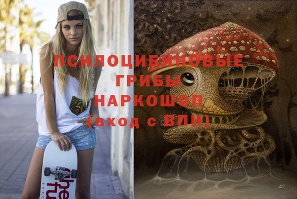 гашик Балахна