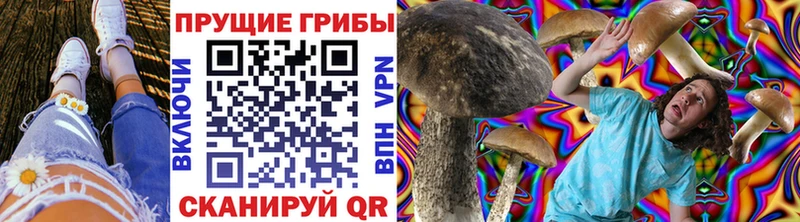 Галлюциногенные грибы GOLDEN TEACHER  что такое наркотик  mega сайт  Иноземцево 