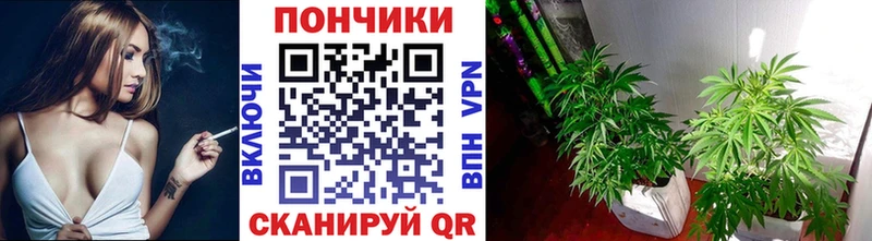 Марихуана семена Иноземцево